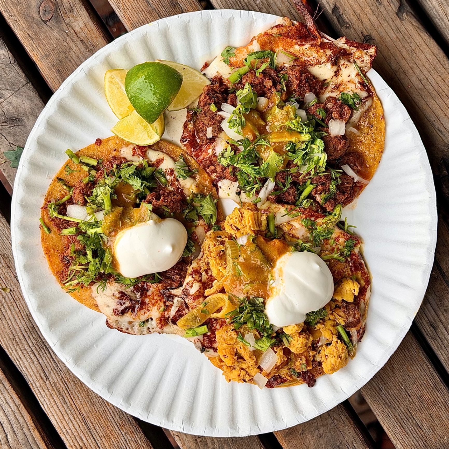 Overhead plate of griddle tacos with salsa, onion and cilantro